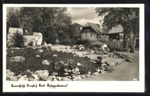 AK Krieglach /Stmk., Roseggerdenkmal, Ortspartie
