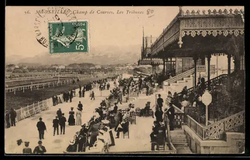 AK Marseille, Champ de Courses, Les Tribunes