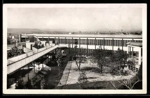 AK Suresnes, Ecole de plein air Permanente, Les terrasses