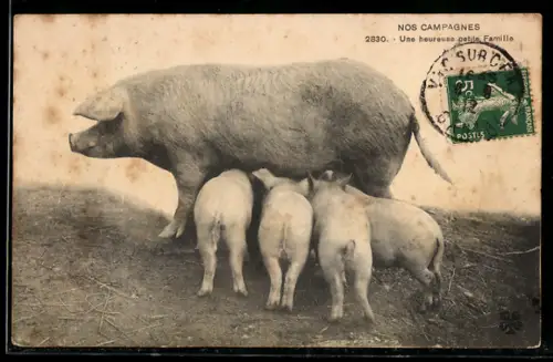 AK Ferkel an der Muttersau, Une heureuse petite famille