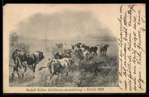 AK Zürich, Rudolf Koller Jubiläums-Ausstellung 1898, Kuhherde