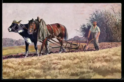Foto-AK Deutscher Soldat beim Bereiten des Ackers im Feindesland, Ochse-Pferdgespann