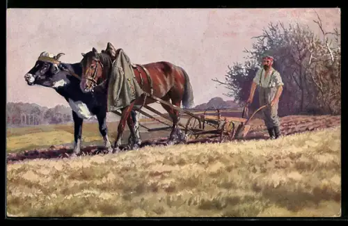 Foto-AK Deutscher Soldat beim Bereiten des Ackers im Feindesland, Ochse-Pferdgespann