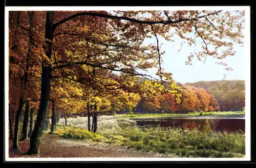 AK Photochromie NR.5159: Schöne Landschaft mit See