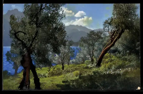 Künstler-AK Photochromie Nr. 1839: Uferlandschaft mit Bäumen und Bergen