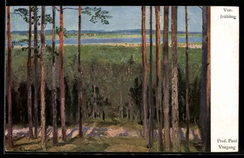 Künstler-AK Wohlgemuth & Lissner, Primus-Postkarte No. 3243: Waldpartie im Vorfrühling