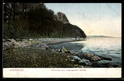 AK Apenrade, Strandweg beim Jürgensgaarder-Gehölze