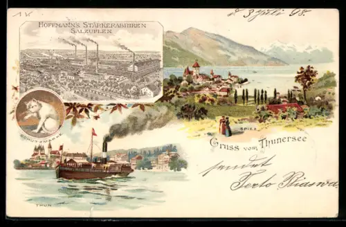 Lithographie Thun, Dampfer, Reklame für Hoffmanns Stärkefabriken Salzuflen, weisse Katze, Spiez am Thunersee um 1900