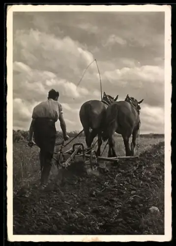 AK Bauer beim Pflügen mit Pferdegespann