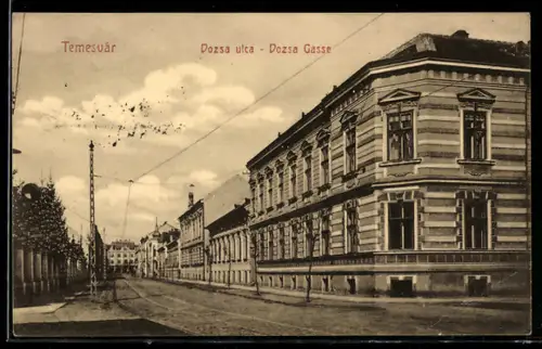 AK Temesvar, Dozsa Gasse mit Bäumen