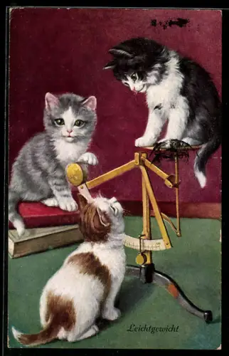 AK Leichtgewicht, Drei kleine Katzen an einer Waage