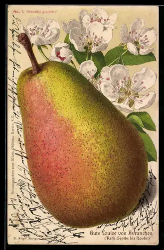 AK Obst, Birne mit Blüten, Gute Louise von Avranches