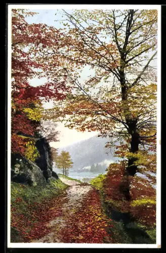 Künstler-AK Photochromie Nr. 5148: Waldweg im Herbst