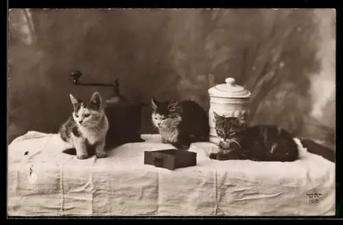AK Drei süsse Kätzchen auf einem Tisch mit Kaffeemühle