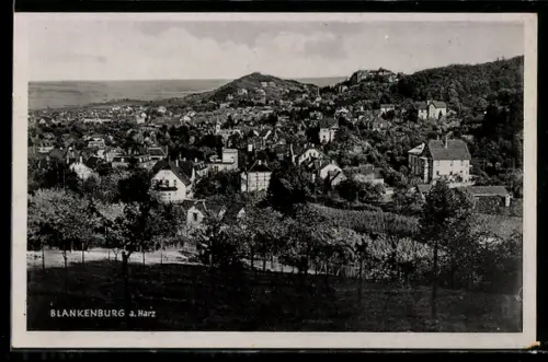 AK Blankenburg a. Harz, Stadtansicht mit Schloss und Umgebung
