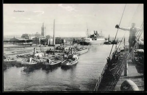AK Cuxhaven, Hafen mit Dampfschiffen