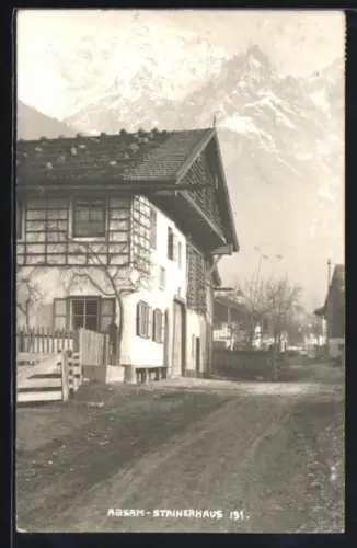 AK Absam, Stainerhaus, Strassenansicht mit Bergpanorama