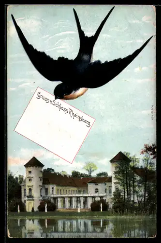 Grusskarten-AK Rheinsberg, Bick zum Schloss & Schwalbe