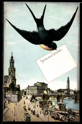 AK Dresden, Promenade an der Elbe mit Schwalbe