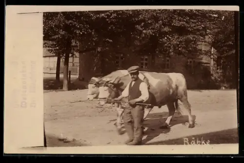 Foto-AK Wefensleben, Bauer mit zwei Kühen