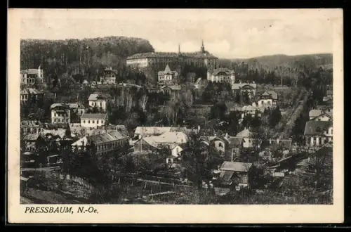 AK Pressbaum /N.-Oe., Panorama mit Ort