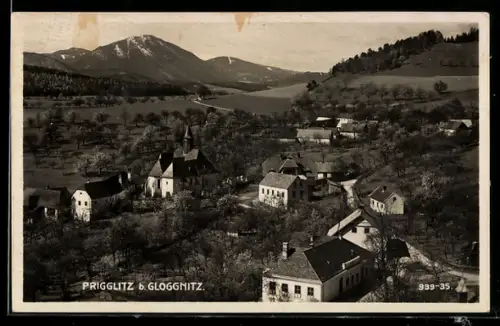 AK Prigglitz b. Gloggnitz, Panorama mit Kirche und Obstgärten