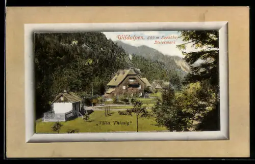 AK Wildalpen /Steiermark, Villa Thimig mit Bergpanorama