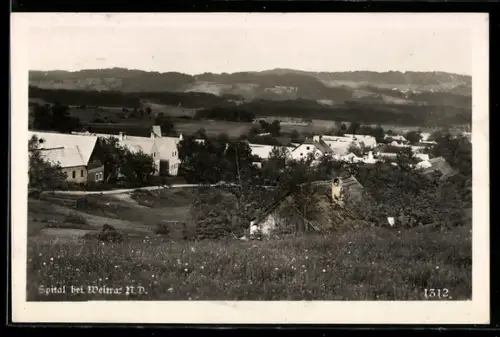 AK Spittal bei Weitra, Panorama mit Häusern und Wiesen