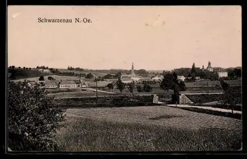 AK Schwarzenau /N.-Oe., Panorama mit Kirche und Feldern