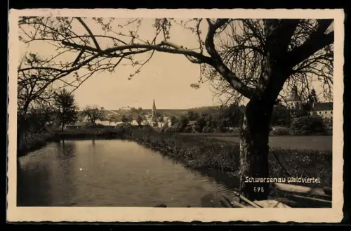 AK Schwarzenau, Waldviertel, Panorama mit Teich und Kirche