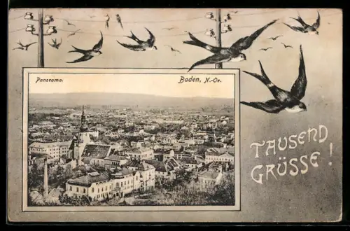 AK Baden /N.-Ö., Panorama mit Kirche, Schwalben im Passepartout