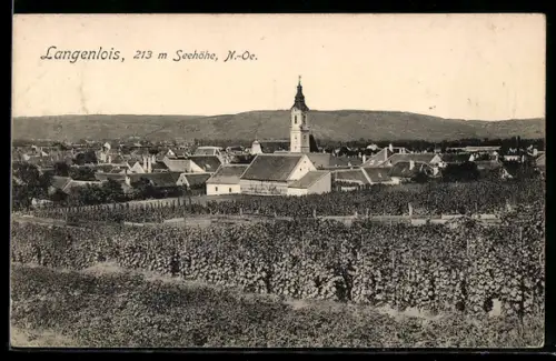 AK Langenlois /N.-Ö., Panorama mit Kirche und Weinbergen