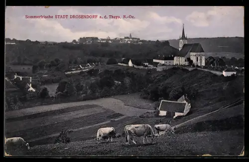 AK Drosendorf a. d. Thaya, Panorama mit Kirche und Kühen