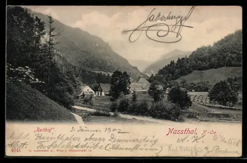 AK Schwarzau im Gebirge, Nassthal, Gasthof Reithof