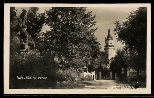 AK Wallsee a. d. Donau, Schloss mit Park