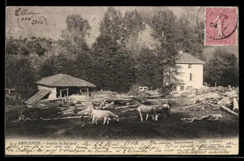 AK Amplepuis, Scierie de Berland