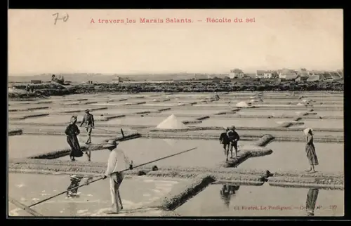 AK Les Marais Salants, Récolte du sel