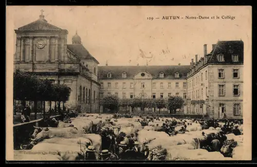 AK Autun, Notre-Dame et le Collège, Marché