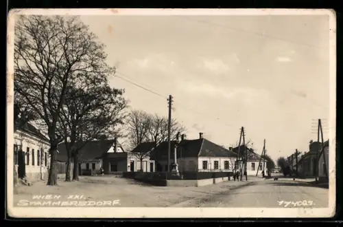 AK Wien, Stammersdorf, Platz mit Häusern und Bäumen