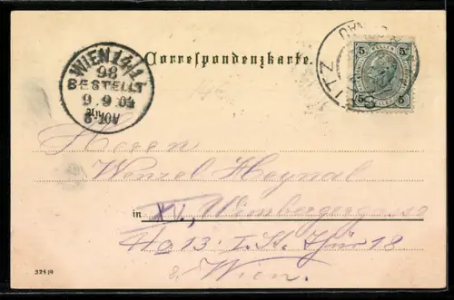 Lithographie Spitz, Panorama mit Kirche und Ruine Hinterhaus