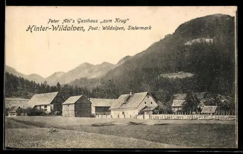 AK Hinter-Wildalpen /Steiermark, Peter Abl`s Gasthaus `zum Krug`, Dorfansicht