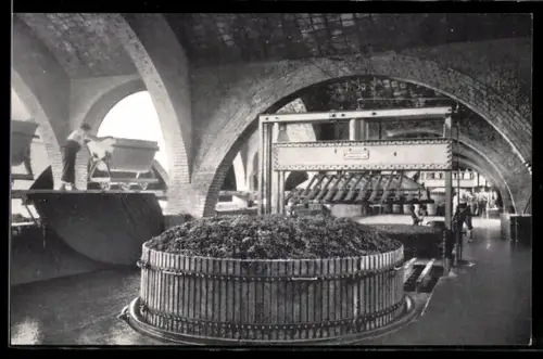 AK San Sadurni de Noya, Una de las prensas