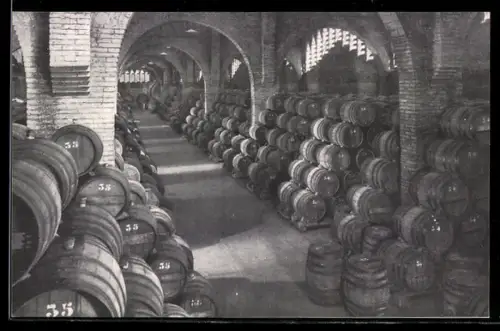 AK San Sadurni de Noya, Una bodega