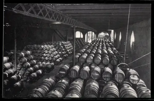 AK San Sadurni de Noya, Una bodega