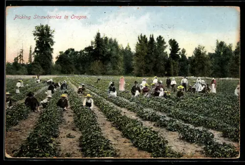 AK Oregon, Strawberry pickers on a field