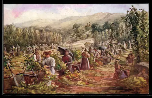 AK Hop pickers at work