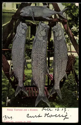 Präge-AK Three Tarpons and a Kranck