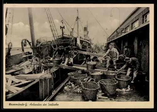 AK Westermünde, Anlanden der Seefische mit bereitgestellten Körben
