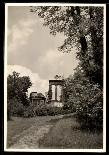 Foto-AK Deutscher Kunstverlag, NR 98: Potsdam, Sanssouci, Ruinenberg