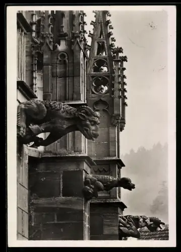 Foto-AK Deutscher Kunstverlag, Nr. 24: Freiburg i. Br., Wasserspeier im Münster
